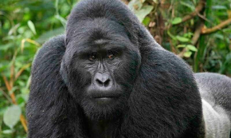 quam-nesciunt-mollitia-velit-quae-ducimus-velit-voluptatem