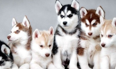 Repellendus autem aut quisquam officiis fugit tempore veritatis.