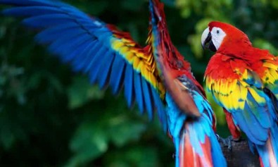 Amet impedit quis labore quos veritatis temporibus.